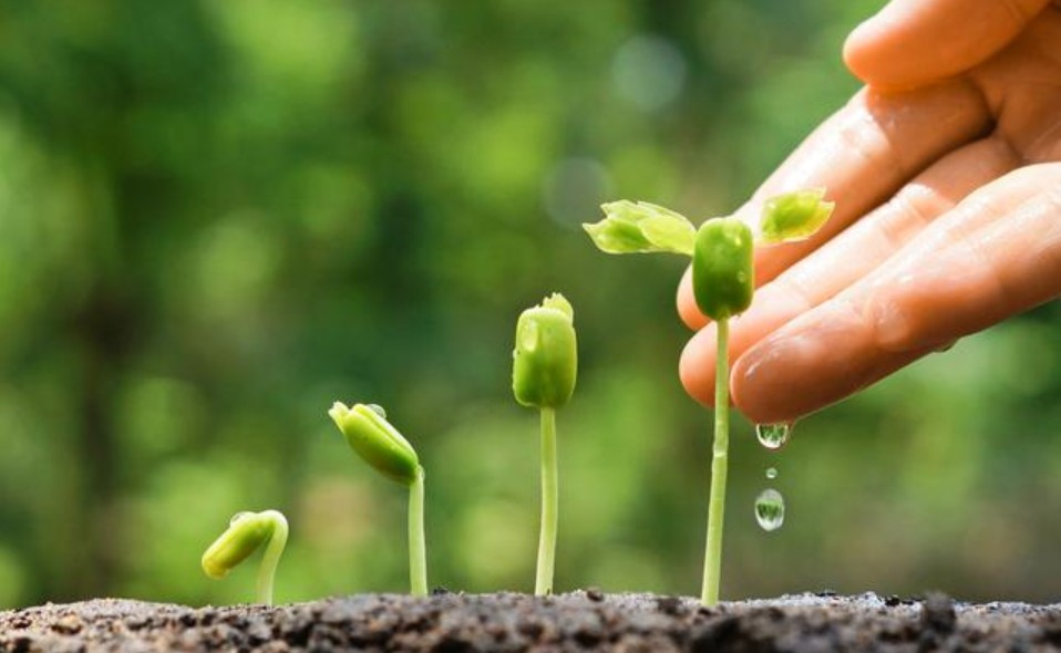 明天的在线课程